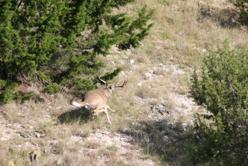 S Ranch 9-27-05 047