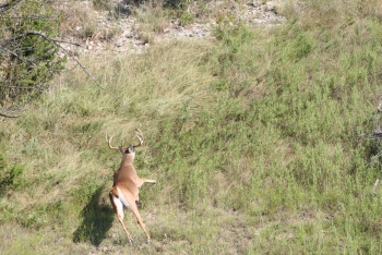 S Ranch 9-27-05 060