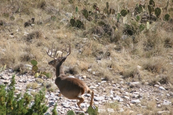 S Ranch 9-27-05 077